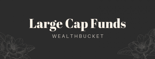 Large Cap Funds