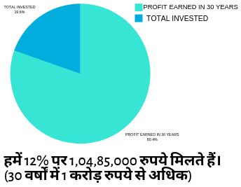 Mutual Fund Investment and Return